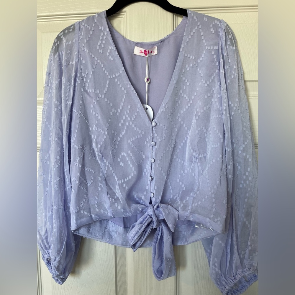 NWT Buddy Love Cropped Blouse size Medium